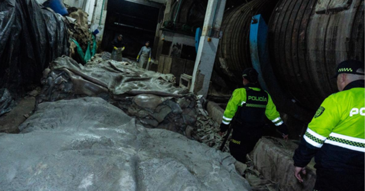 Foto de funcionarios del Distito en un operativo de control 
