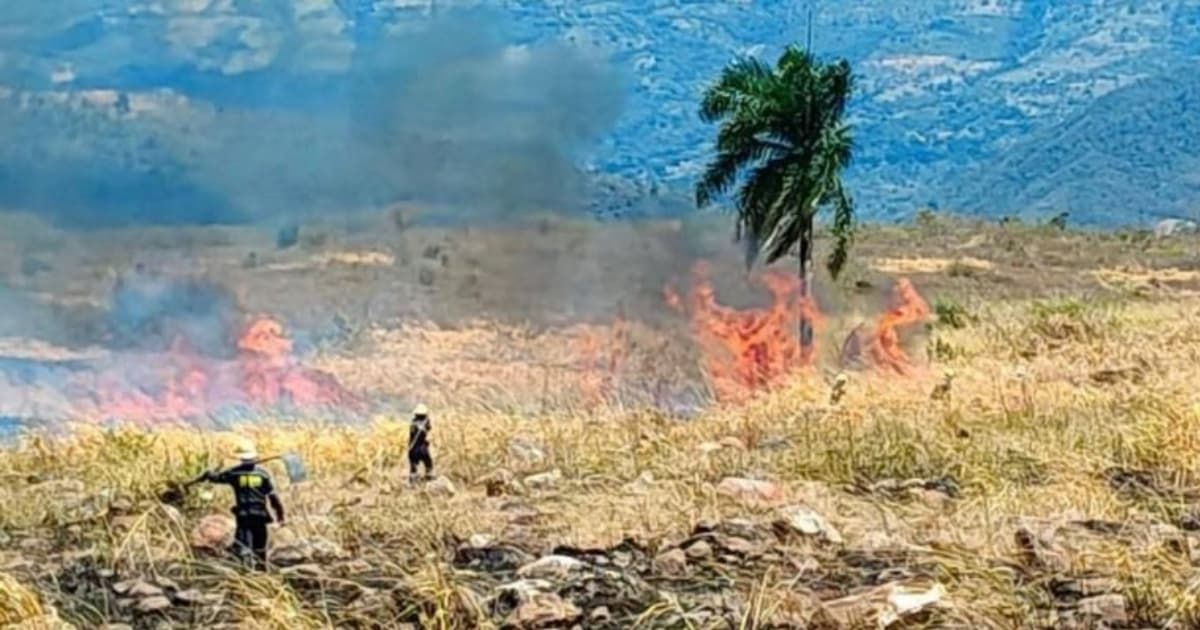 Bomberos apagando una quema forestal en Cundinamarca