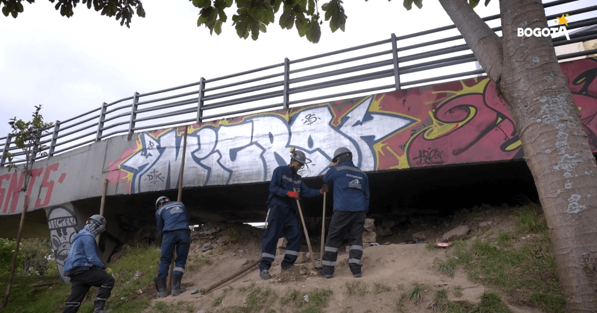 Funcionarios en labores de sellamiento de espacios bajo puente de la carrera Quinta con calle 26.