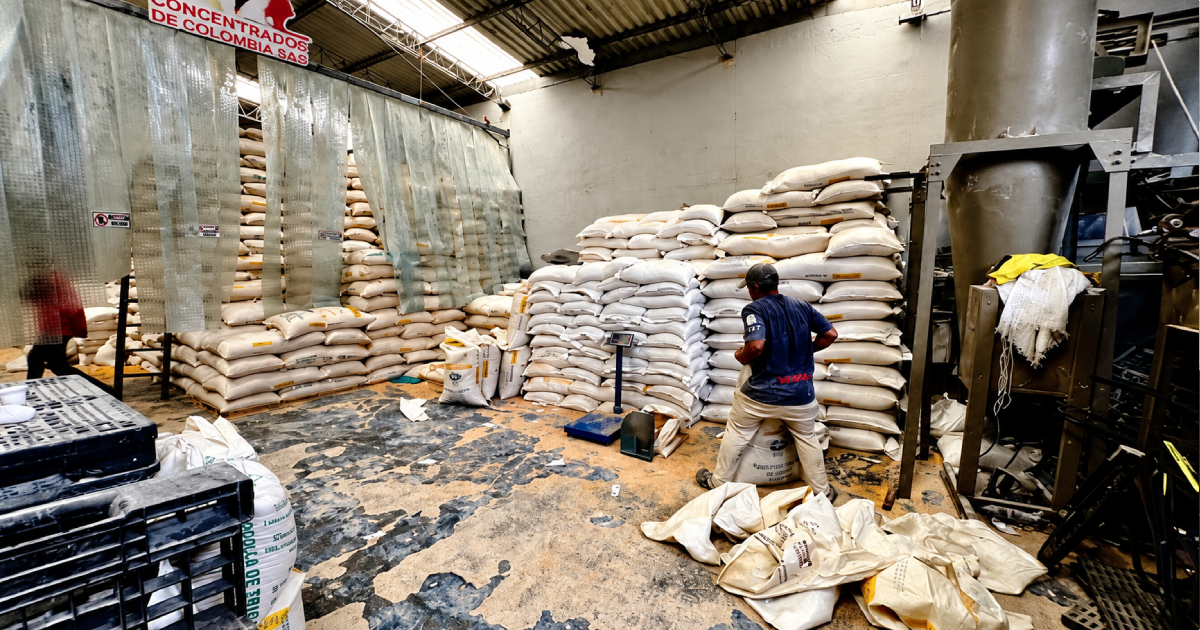 Bodega que fue cerrada en operativo