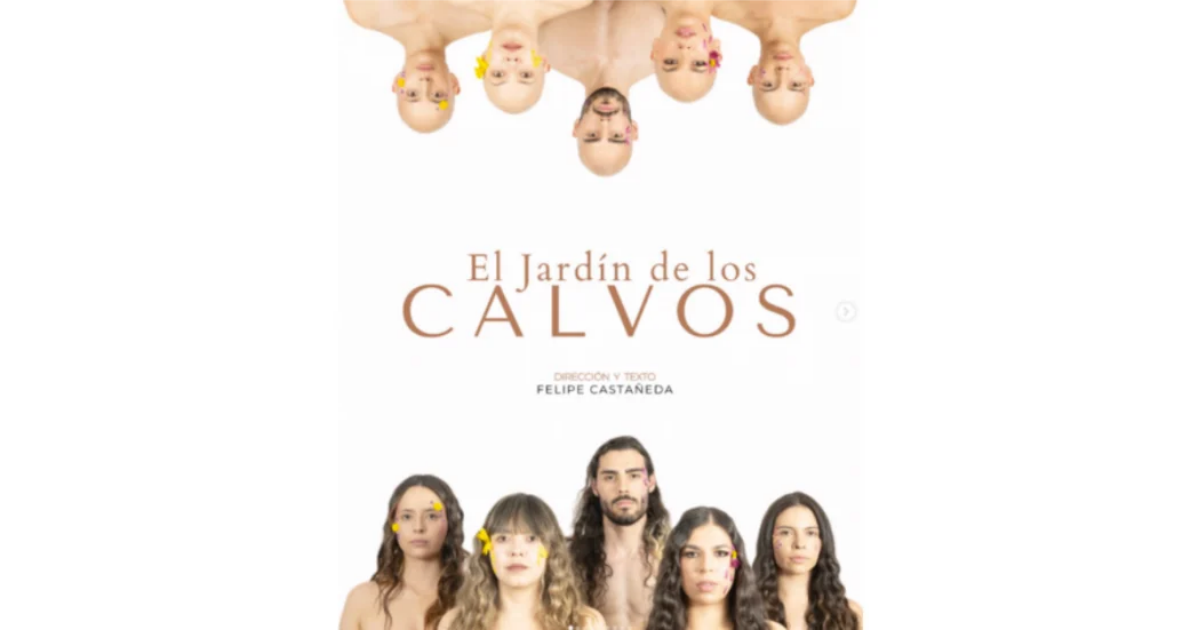 Imagen promocional de la obra en la que se ve en la parte inferior varias personas y en la parte superior las mismas personas sin cabello.