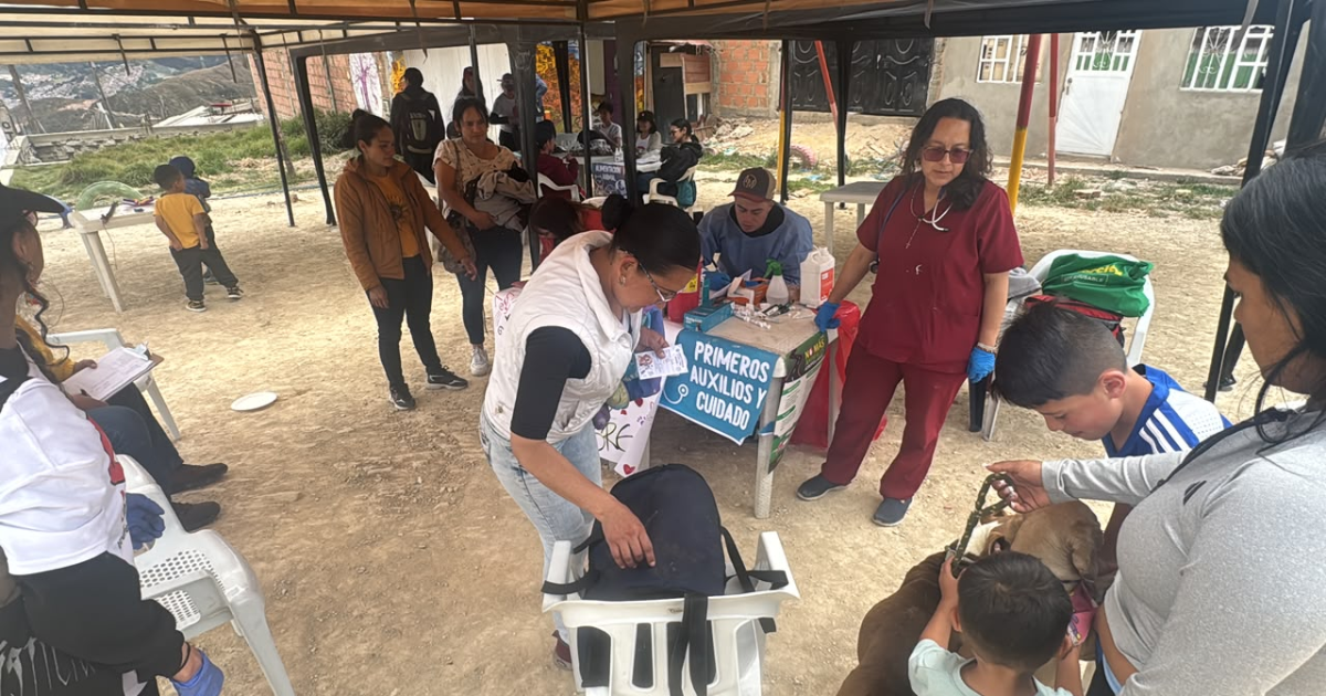 Foto de una brigada veterinaria en Bogotá