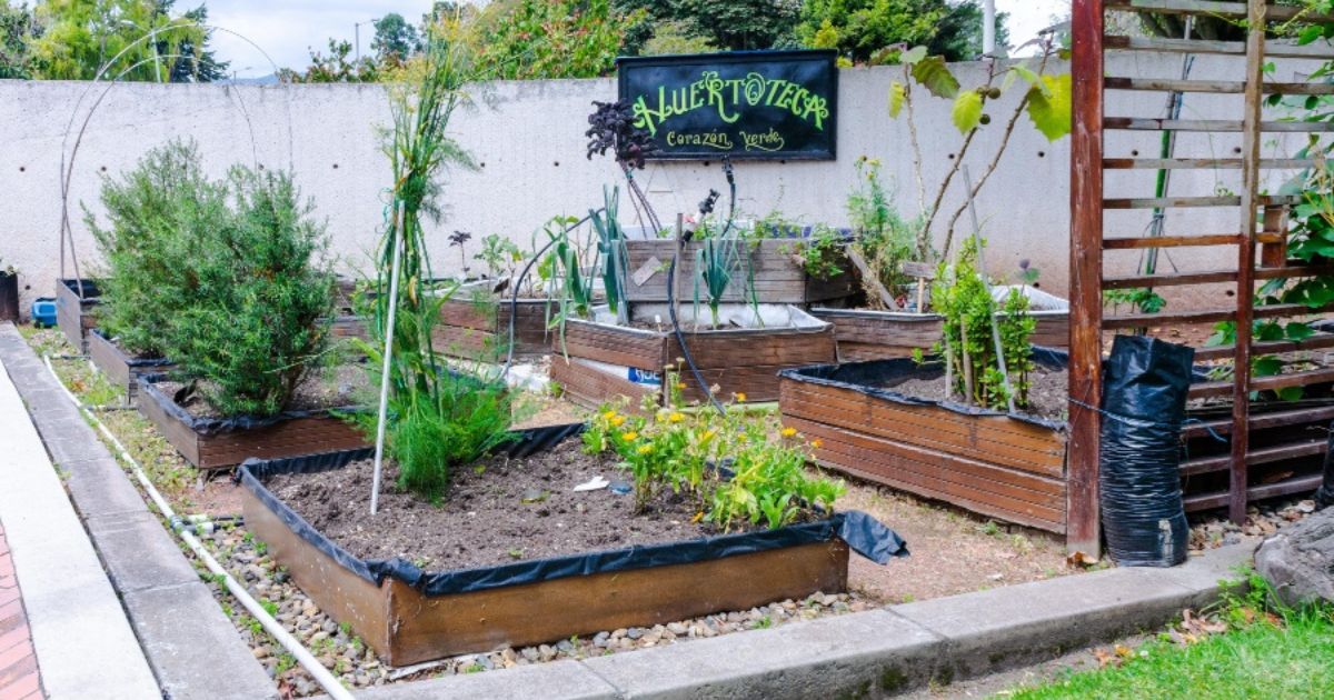 Planes en Bogotá Día del Medio Ambiente recomendados de BibloRed 2025