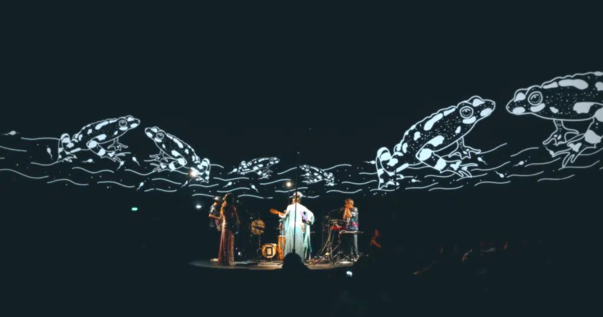 Imagen de agrupación Jacana Jacana en vivo