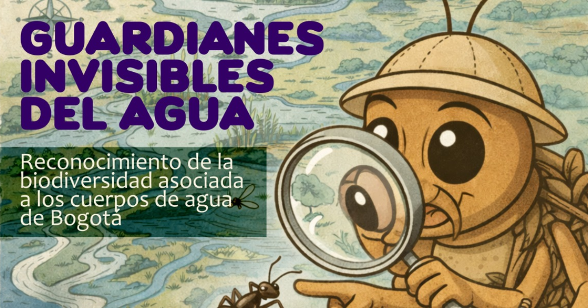 Imagen del poster promocional del taller que se ralizará en el CEE Chapinero