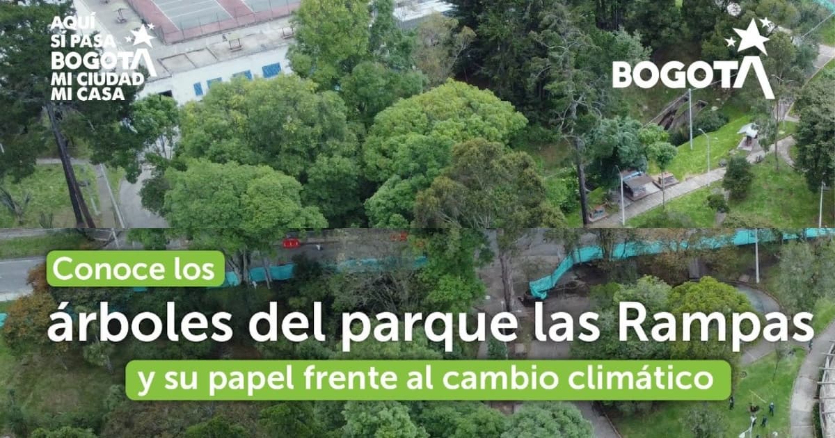 Foto de un parque en Bogotá.