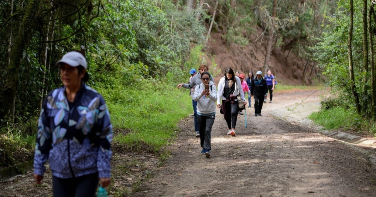 Varias personas caminando por un sendero rural