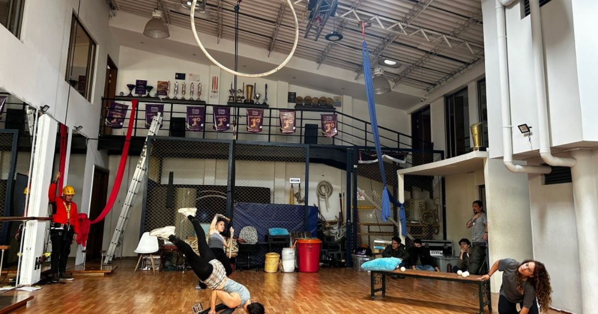 Imagen de un grupo de artistas circenses realizando una práctica.