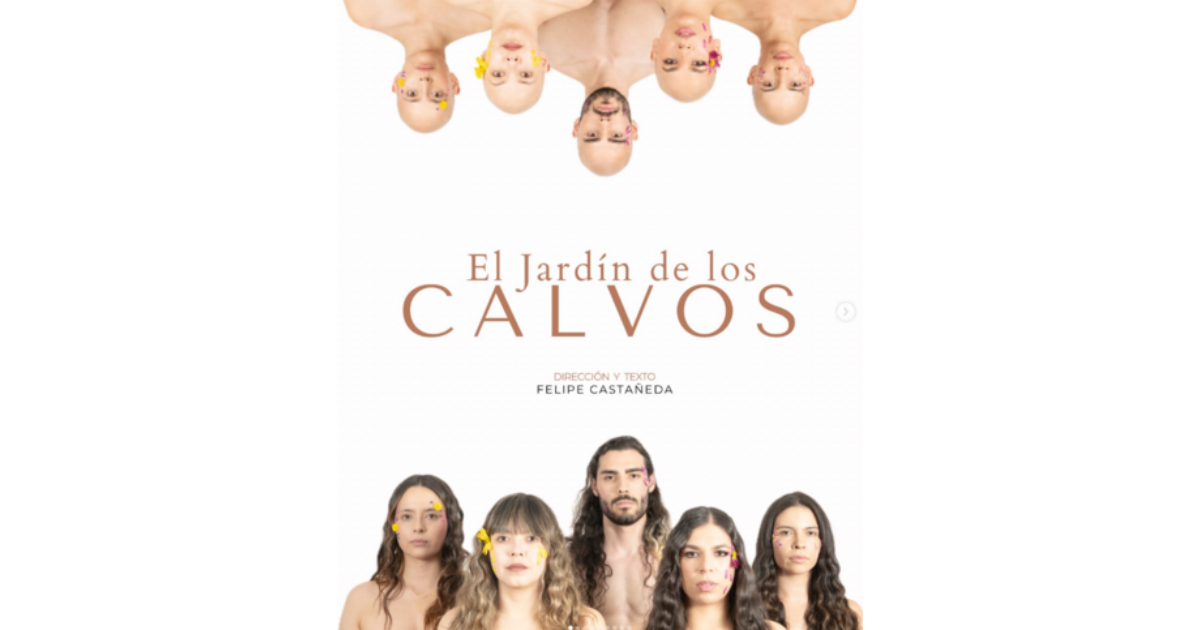 Imagen promocional de la obra en la que se ve en la parte inferior varias personas y en la parte superior las mismas personas sin cabello.