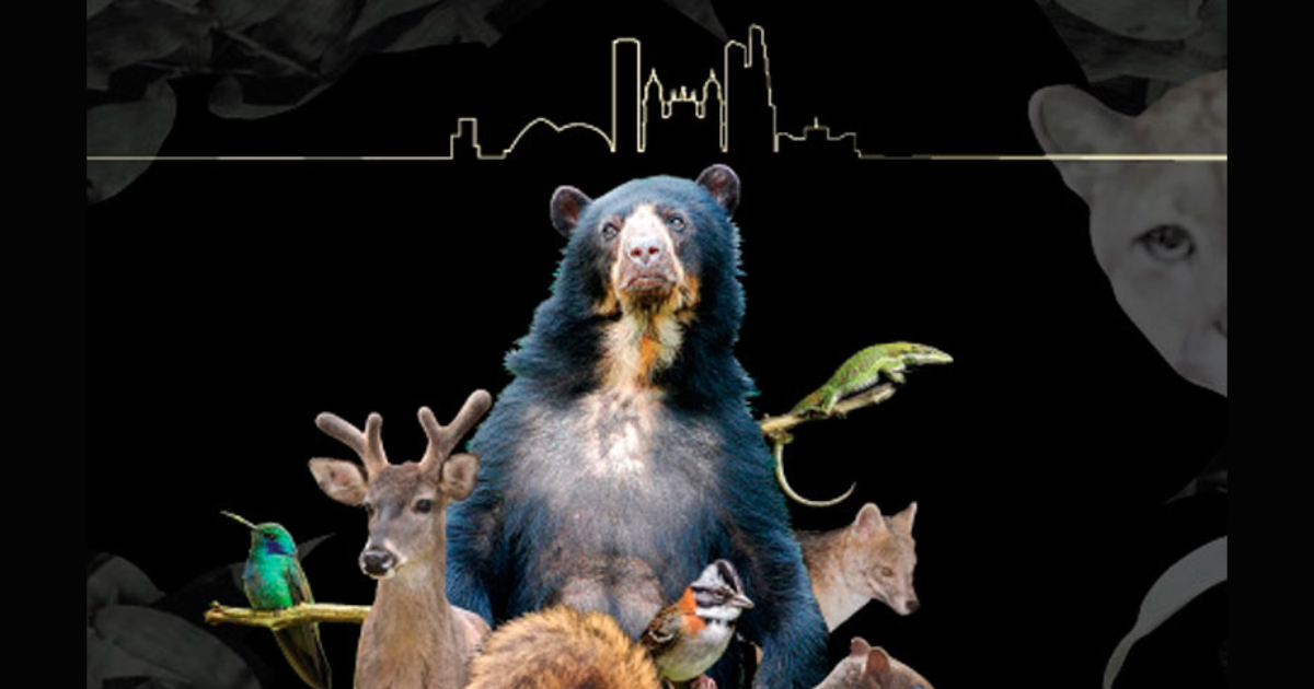 Imagen de un oso de anteojos, un venado, un zorro y otros animales sobre un fondo negro.