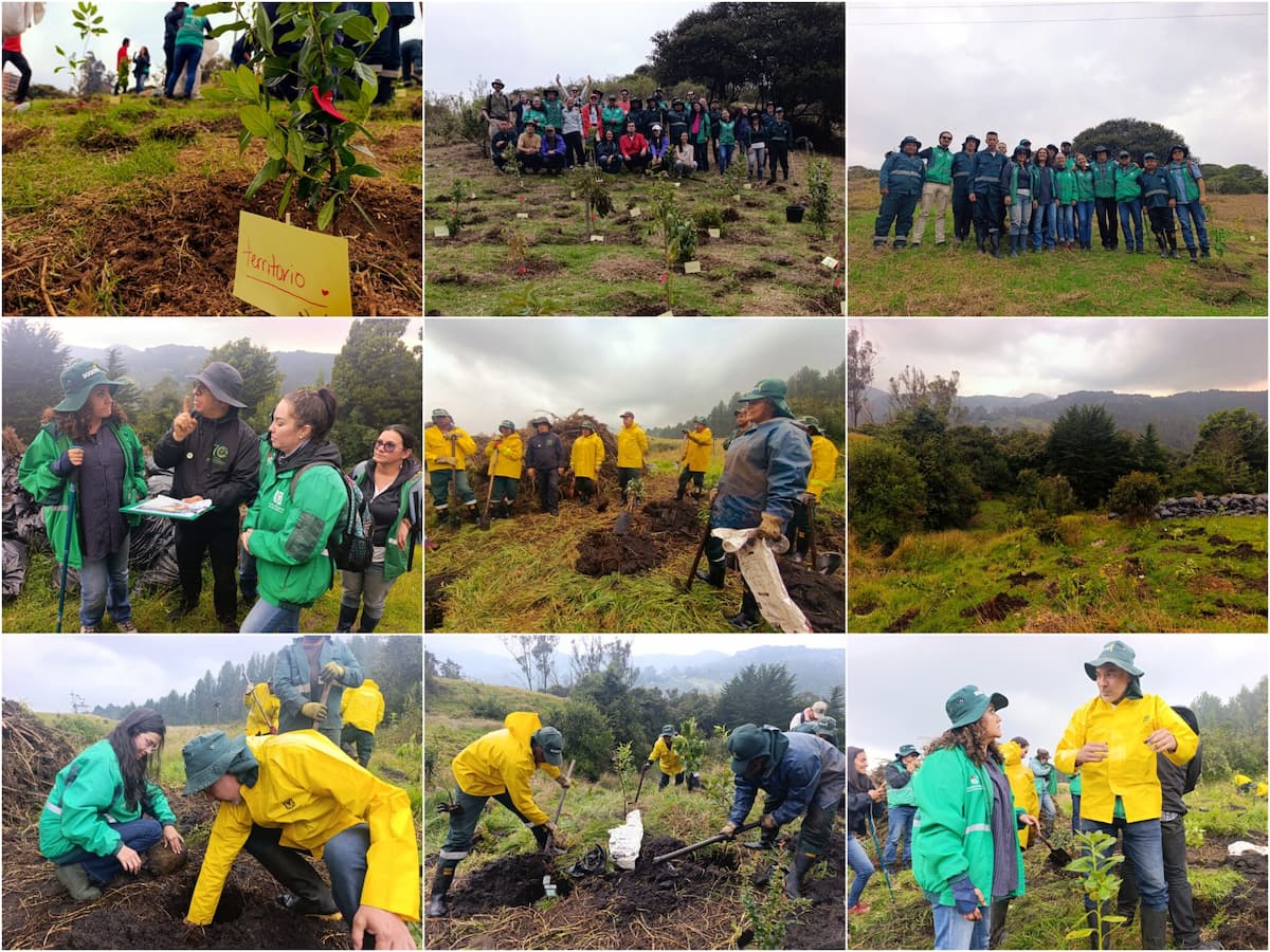actividad renaturalización Jardín Botánico en área rural de Bogotá