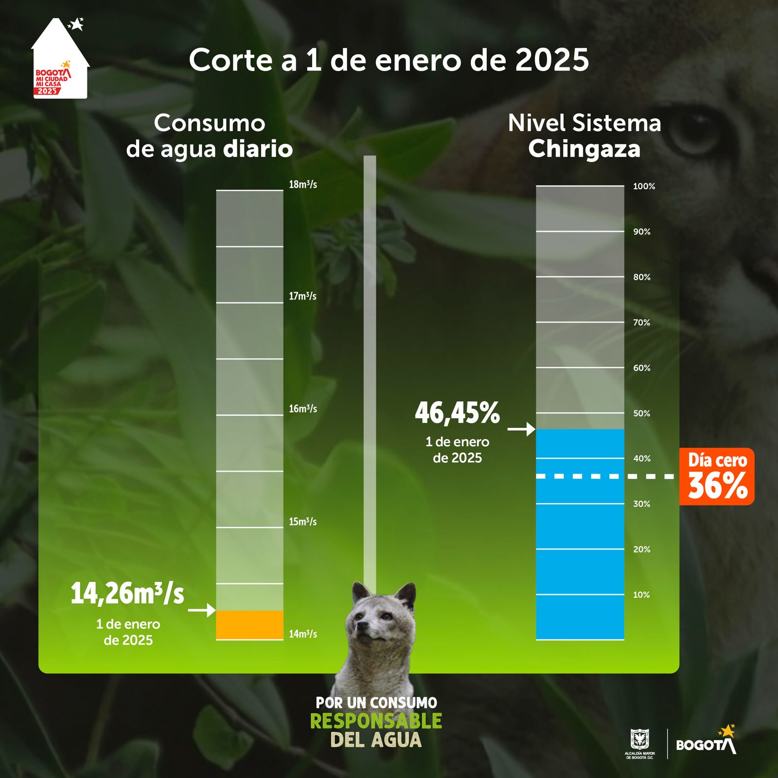 consumo de agua del 1 de enero de 2025