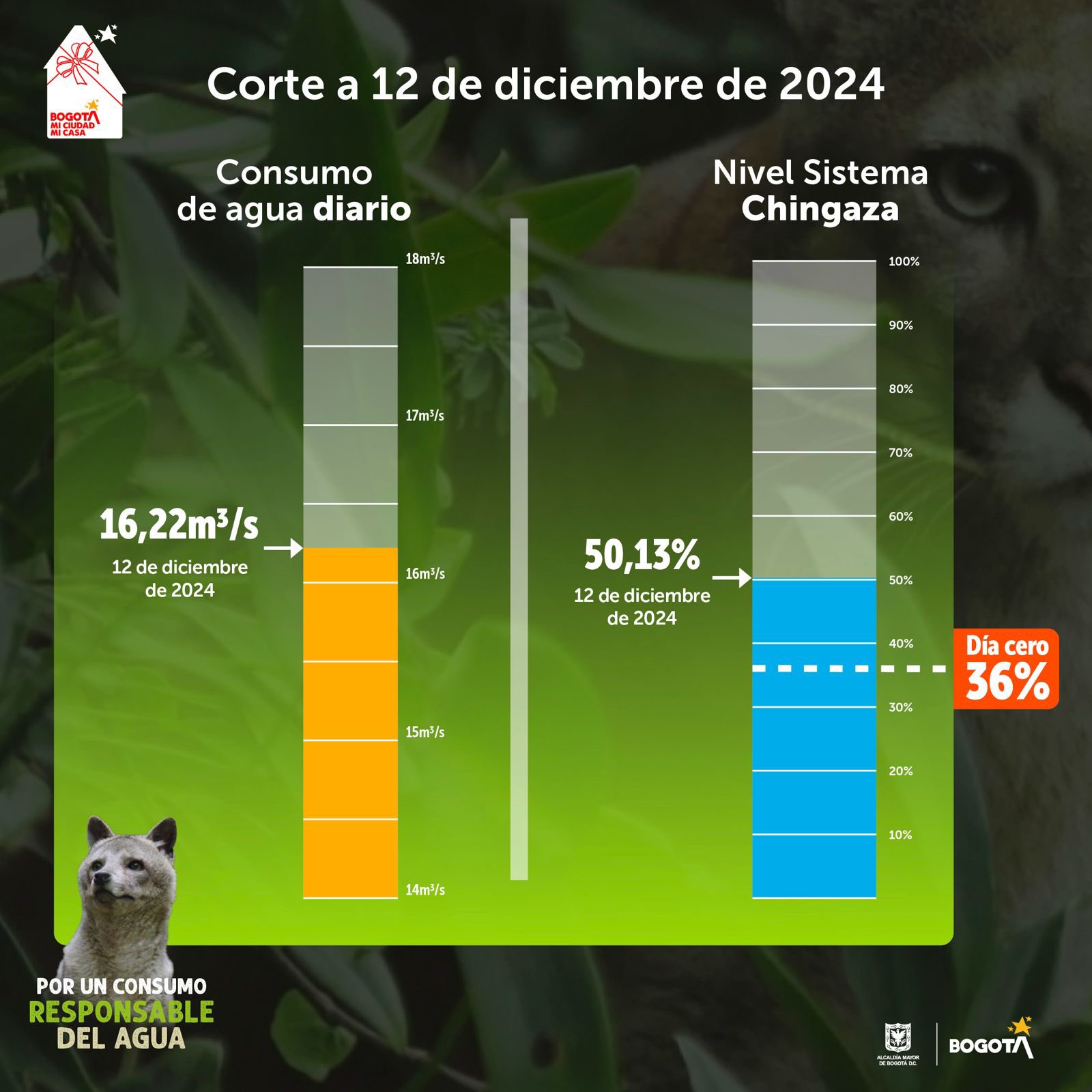 Consumo de agua del 12 de diciembre de 2024 