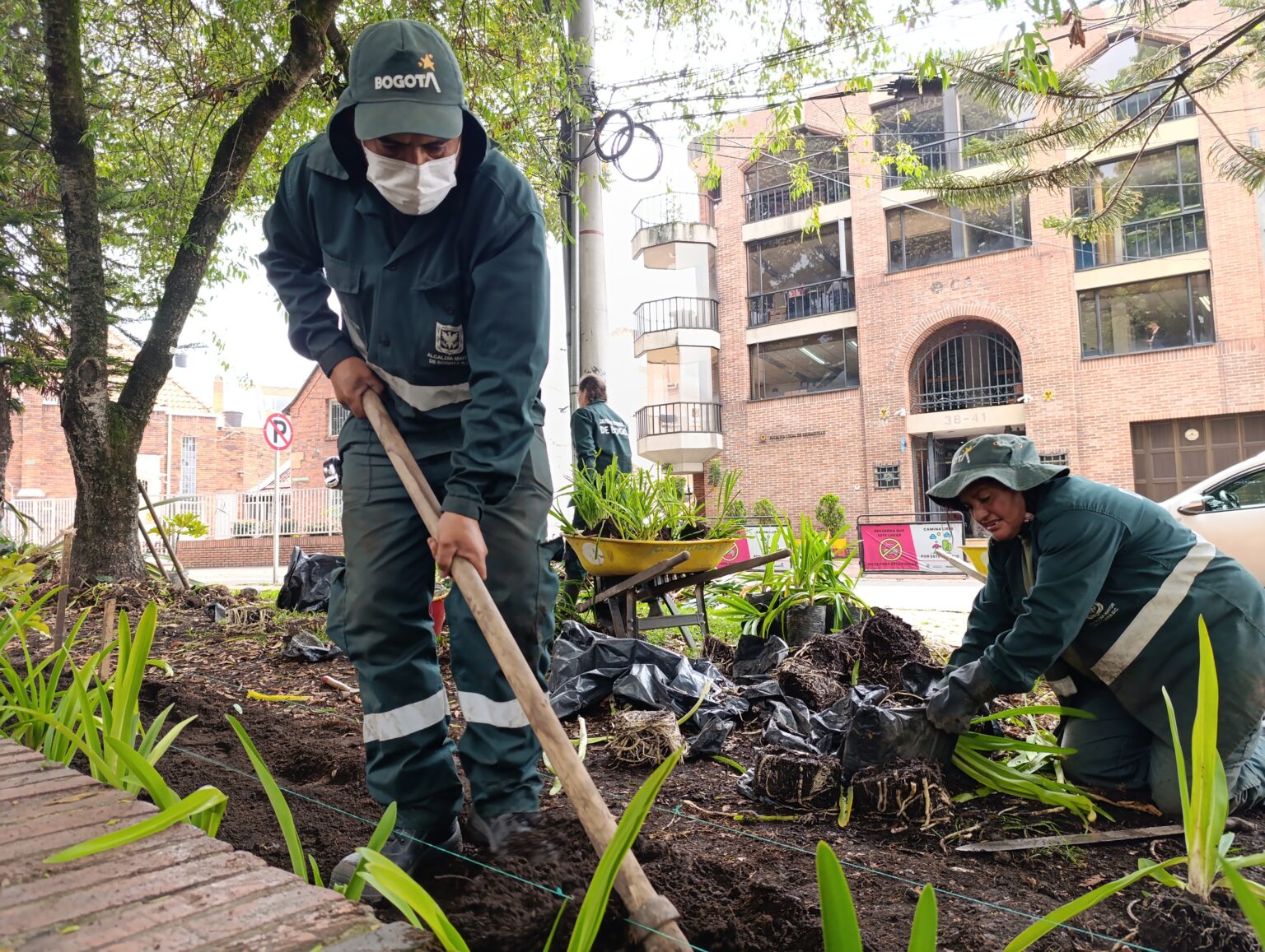 Agricultura urbana y educación ambiental