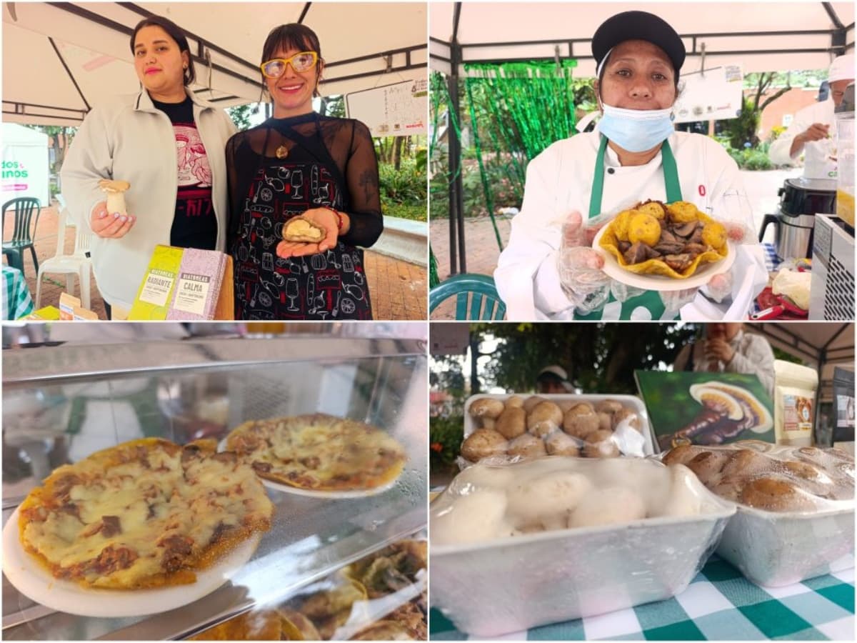 Personas participantes en el lanzamiento del clúster de hongos comestibles de Bogotá