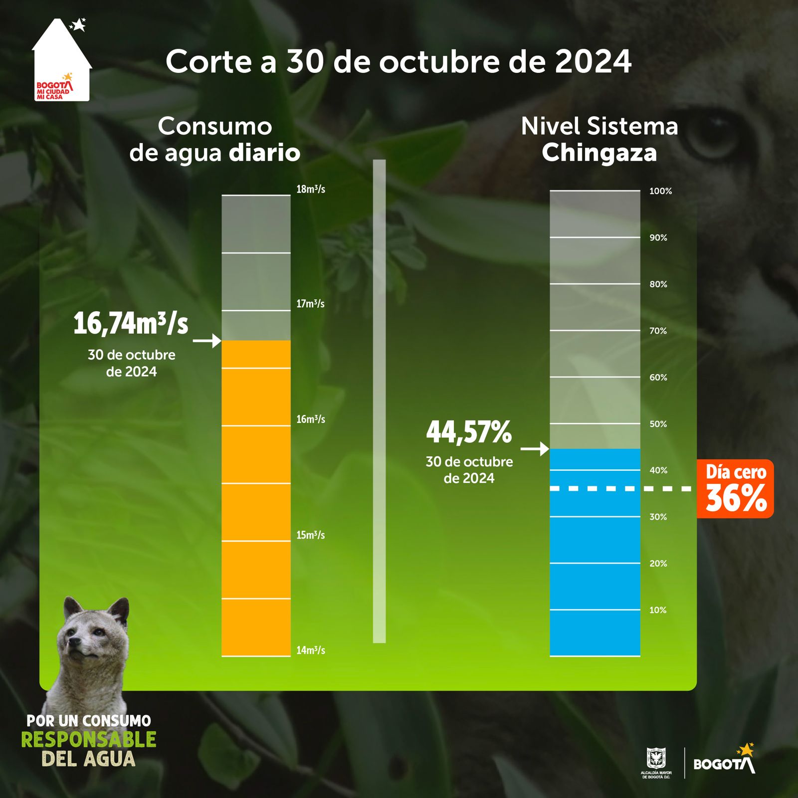 consumo 30 de octubre 