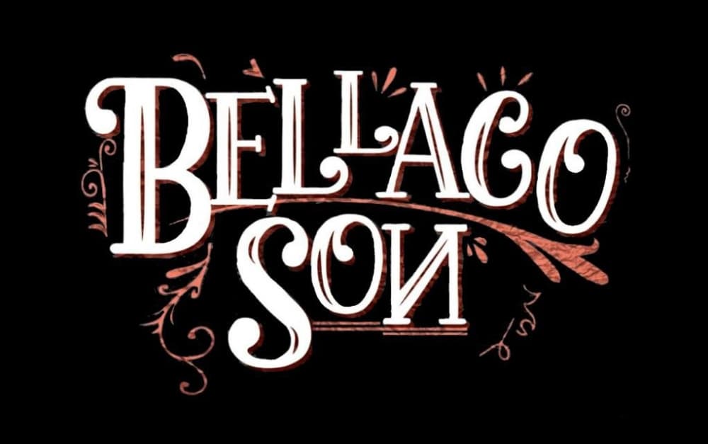 Bellacoson la orquesta joven presente en Salsa al Parque 2025 Bogotá foto 1