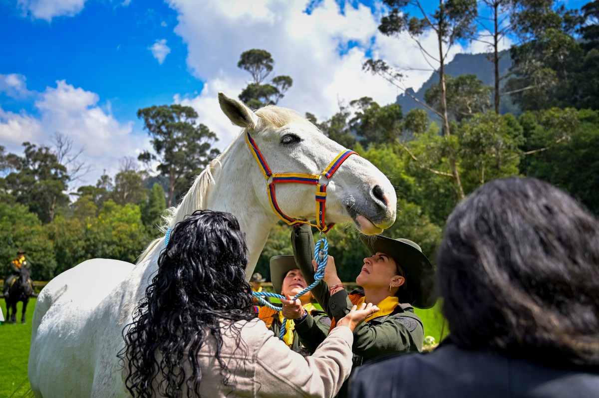  Caballos de la Escuela de Carabineros Policía Bogotá fueron adoptados