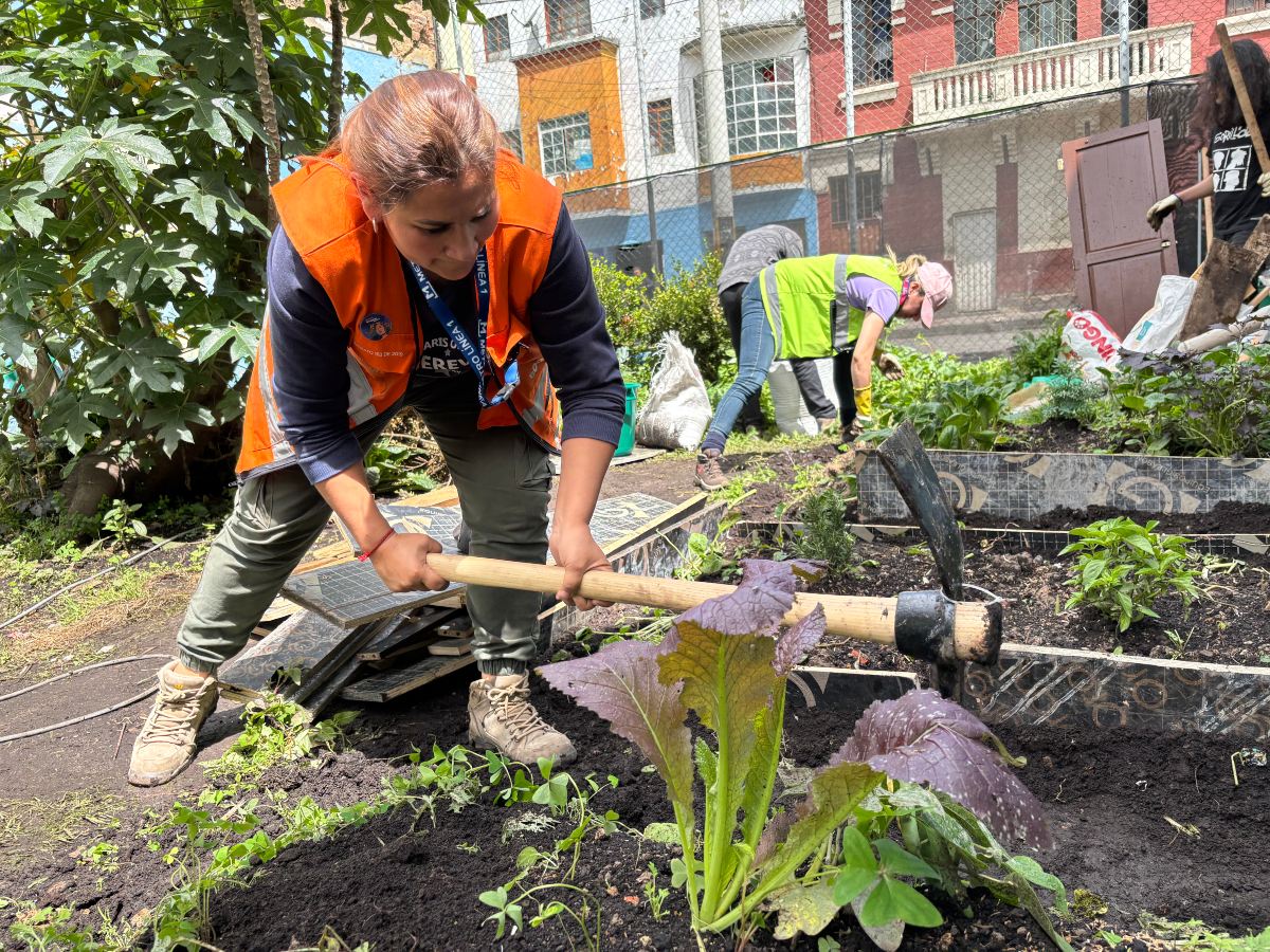 Huerta en el barrio La Favorita cerca del trazado del Metro de Bogotá