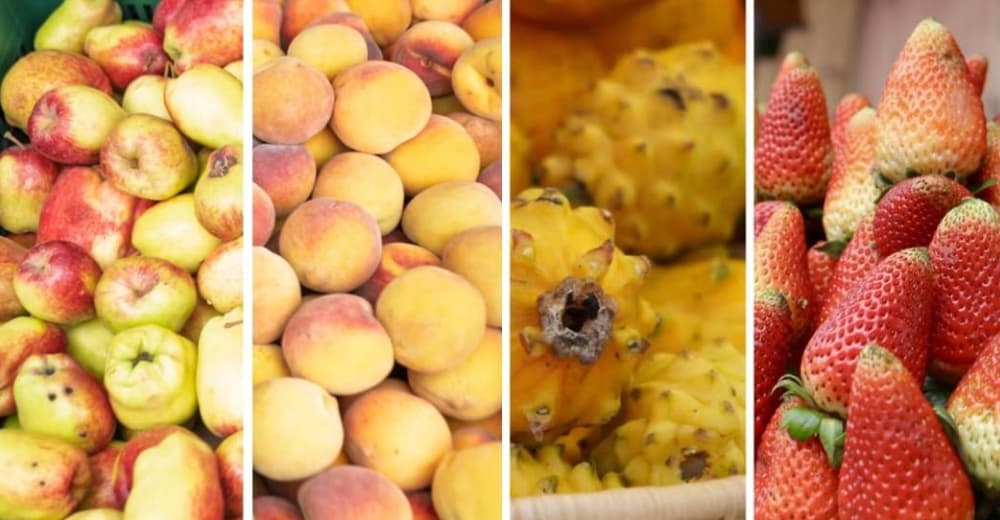 Regalos Día Amor y Amistad Bogotá 2025 canastas de frutas y desayunos