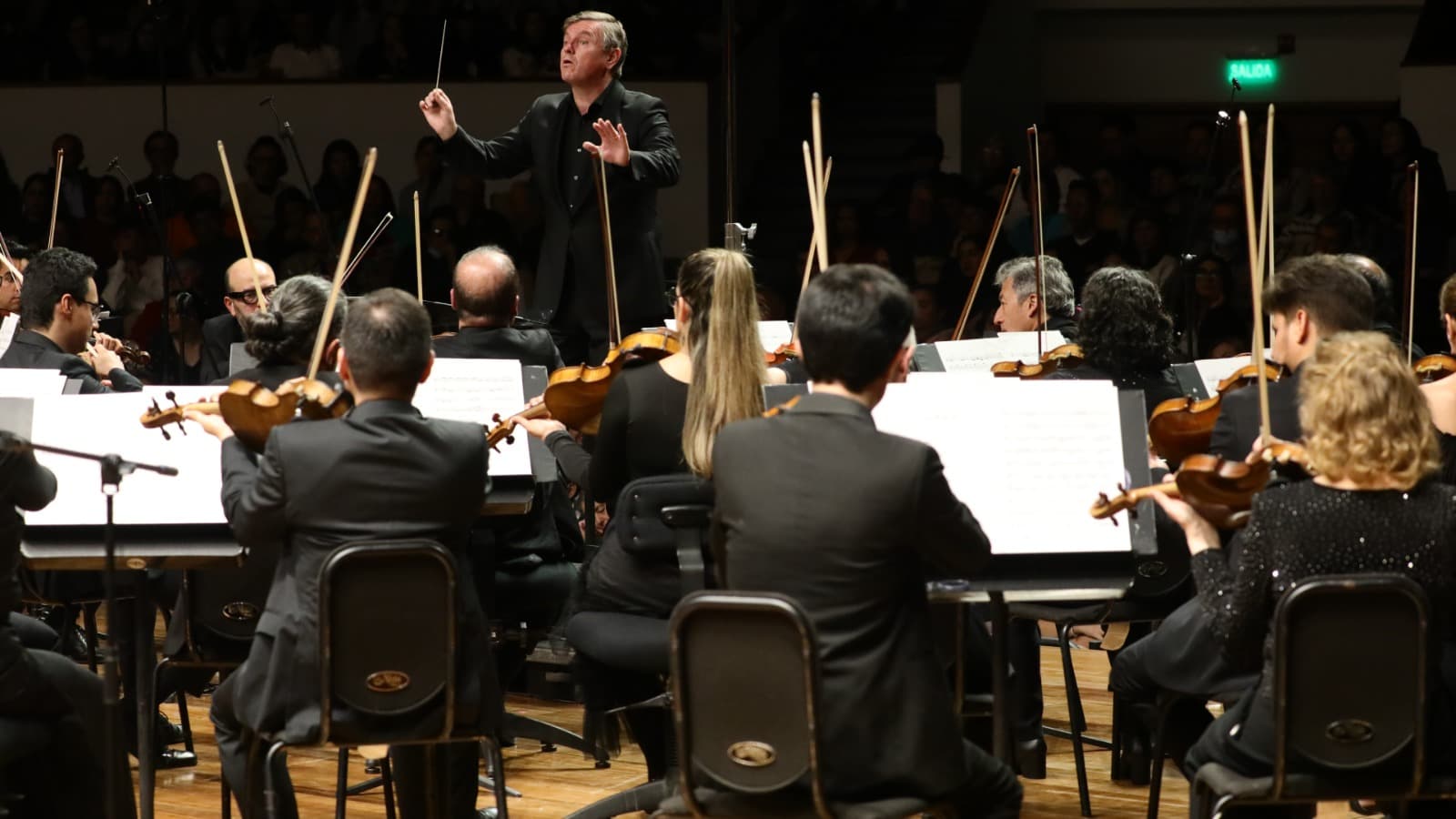 JOACHIM GUSTAFSSON, DIRECTOR TITULAR DE LA FILARMÓNICA DE BOGOTÁ. CRÉDITO: KIKE BARONA