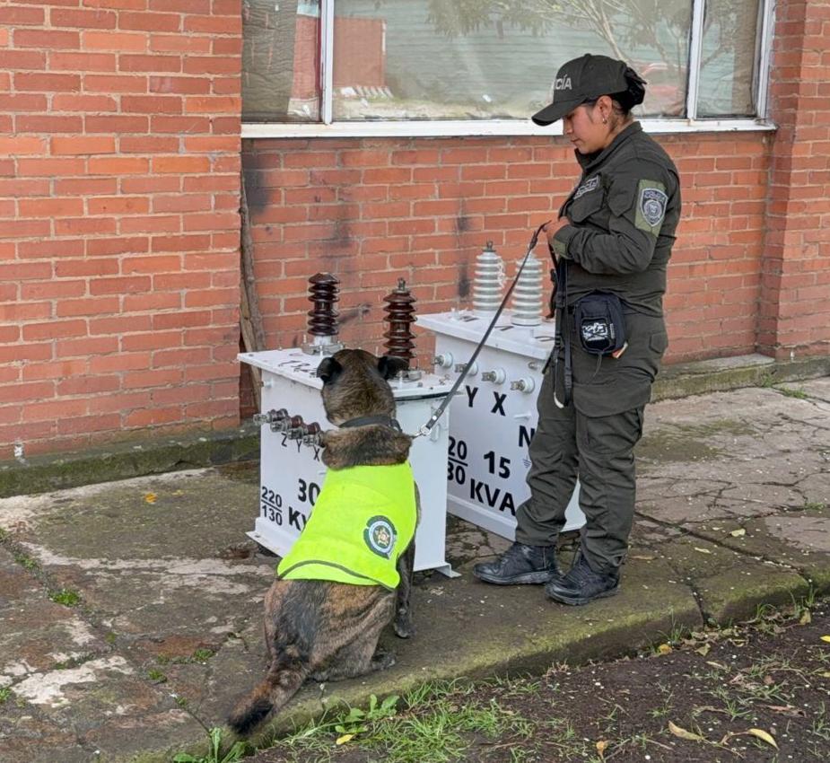 Perro antinarcóticos de la Policía
