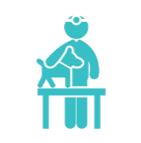 emergencias incluidas las veterinarias 