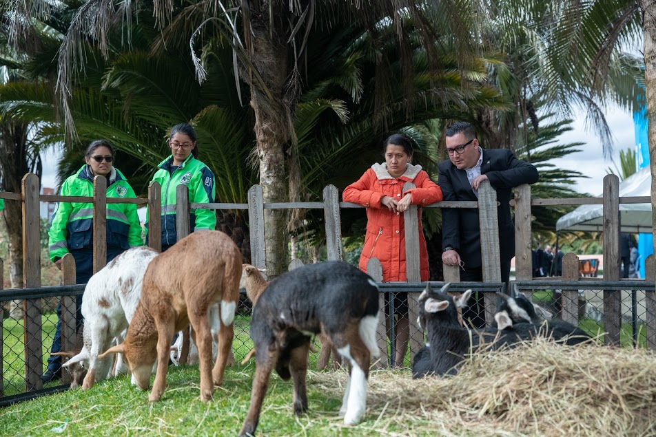 Aspecto de la Mega Granja en el marco del Festival de Verano 2019.
