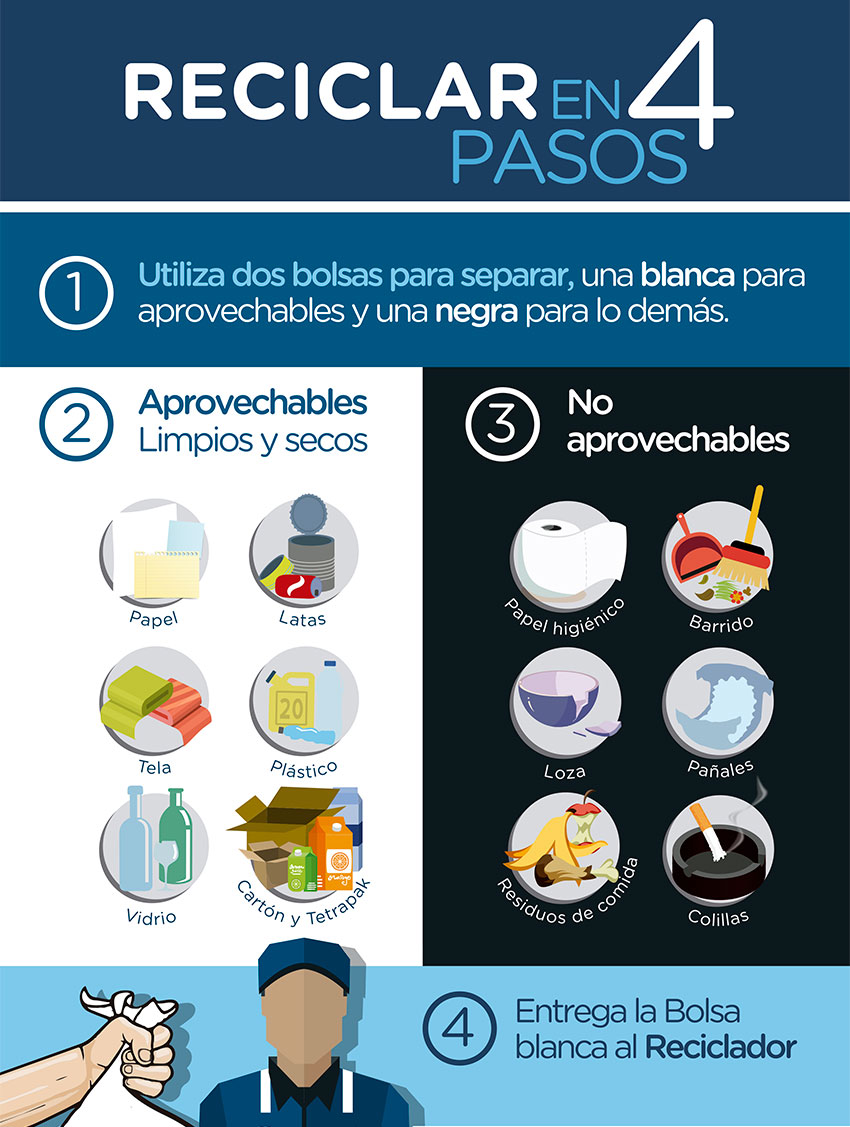 Conoce los 4 pasos para reciclar en casa
