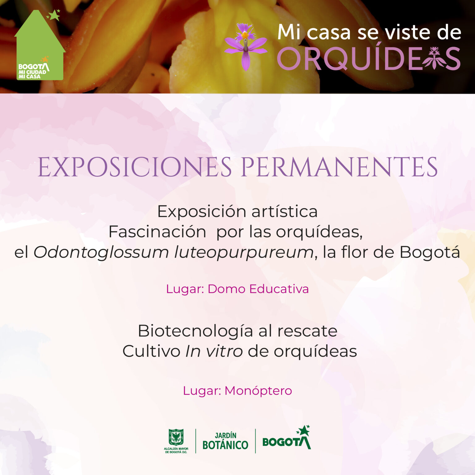 Exposición de Orquídeas de Bogotá 2024