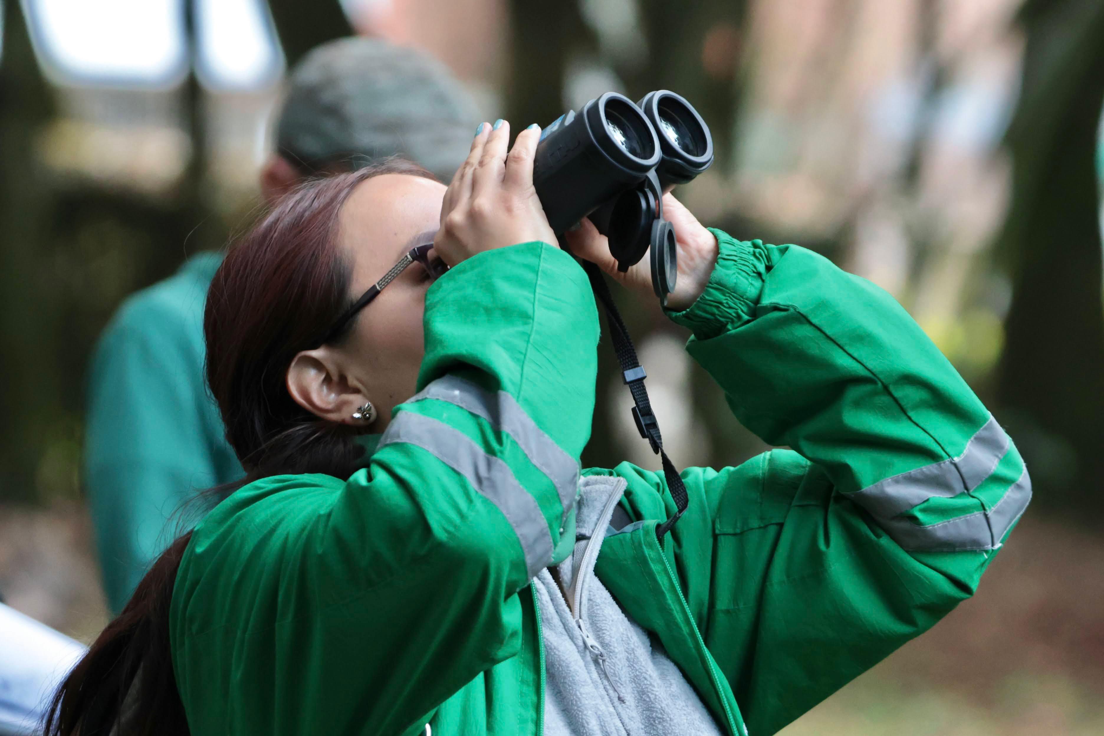 Global Big Day Bogotá de 2025 registro de aves y de una nueva especie