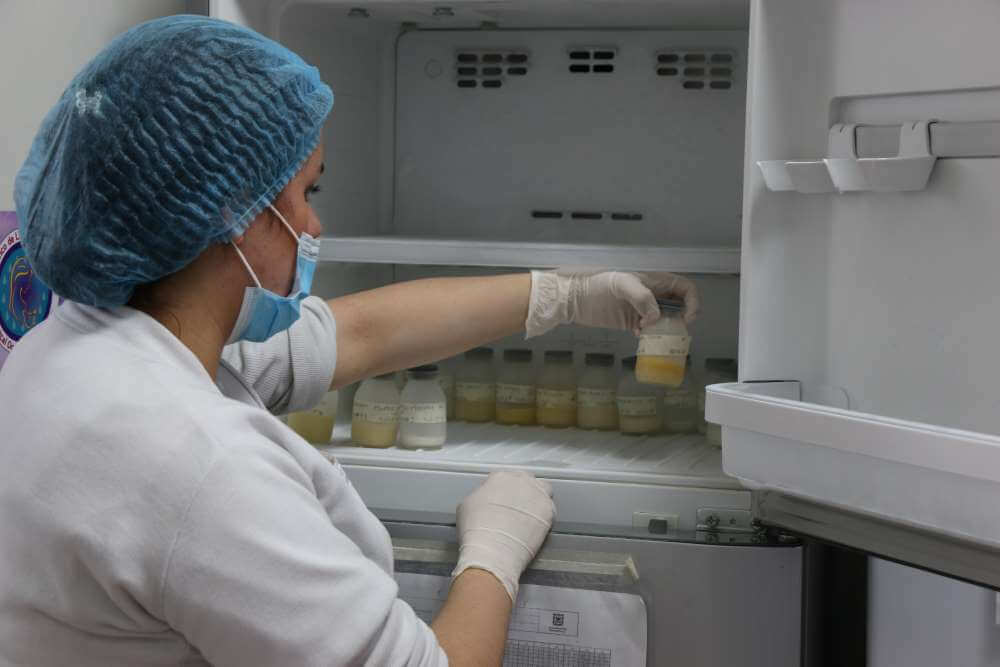Imagen del almacenamiento de la leche donada en congeladores