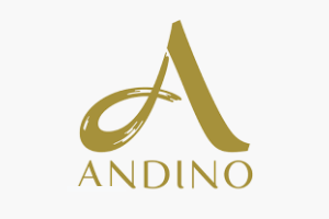 Logo Andino