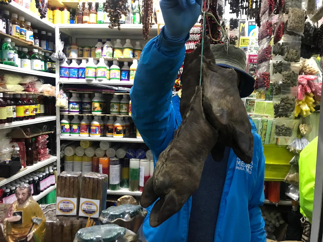 Animales silvestres sacrificados para elaboración de productos