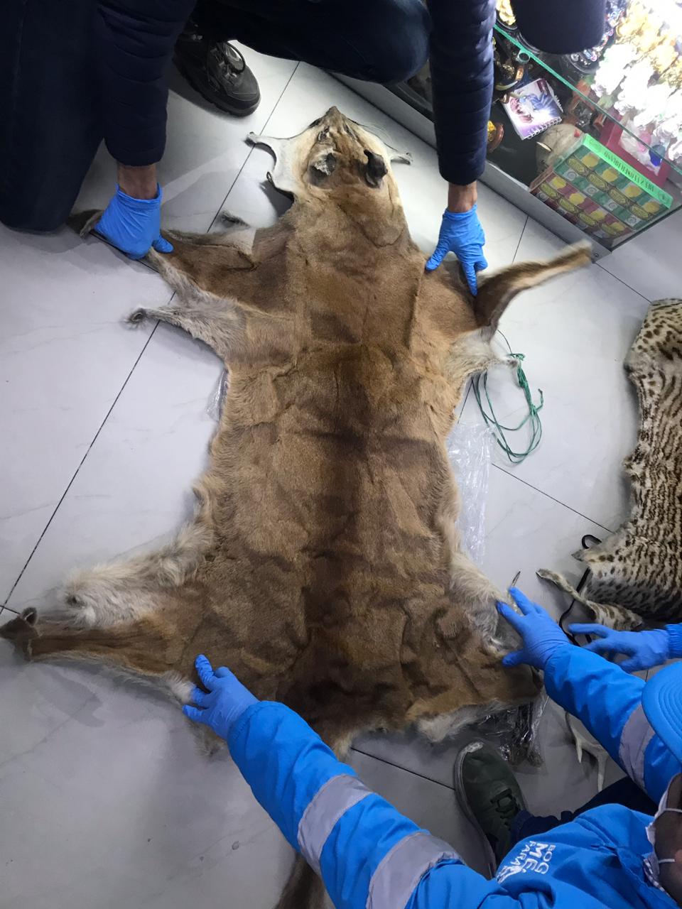 Animales silvestres sacrificados para elaboración de productos