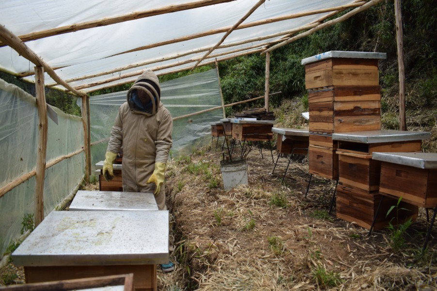 Productor campesino apicultor - Foto: Secretaría de Desarrollo Económico