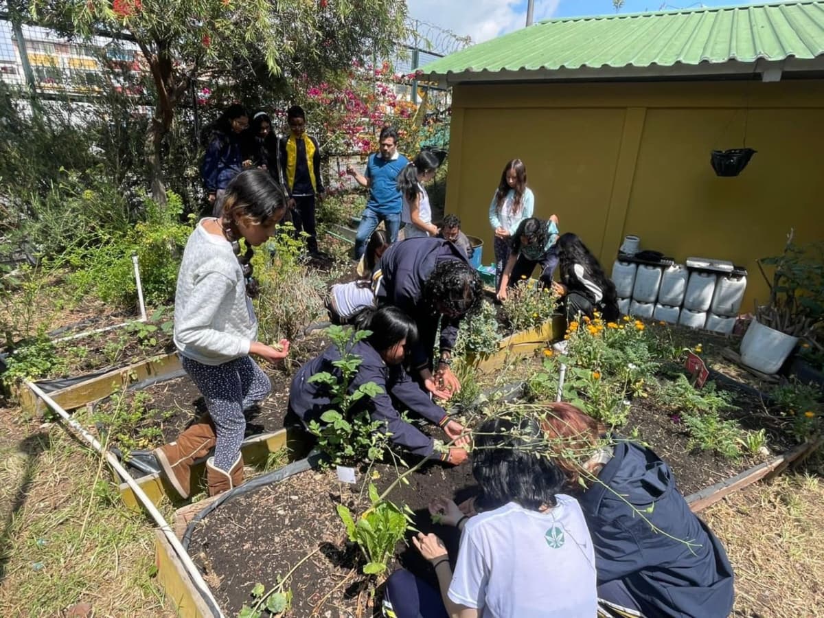 estudiantes de Bogotá participan en jornada de siembra en colegio
