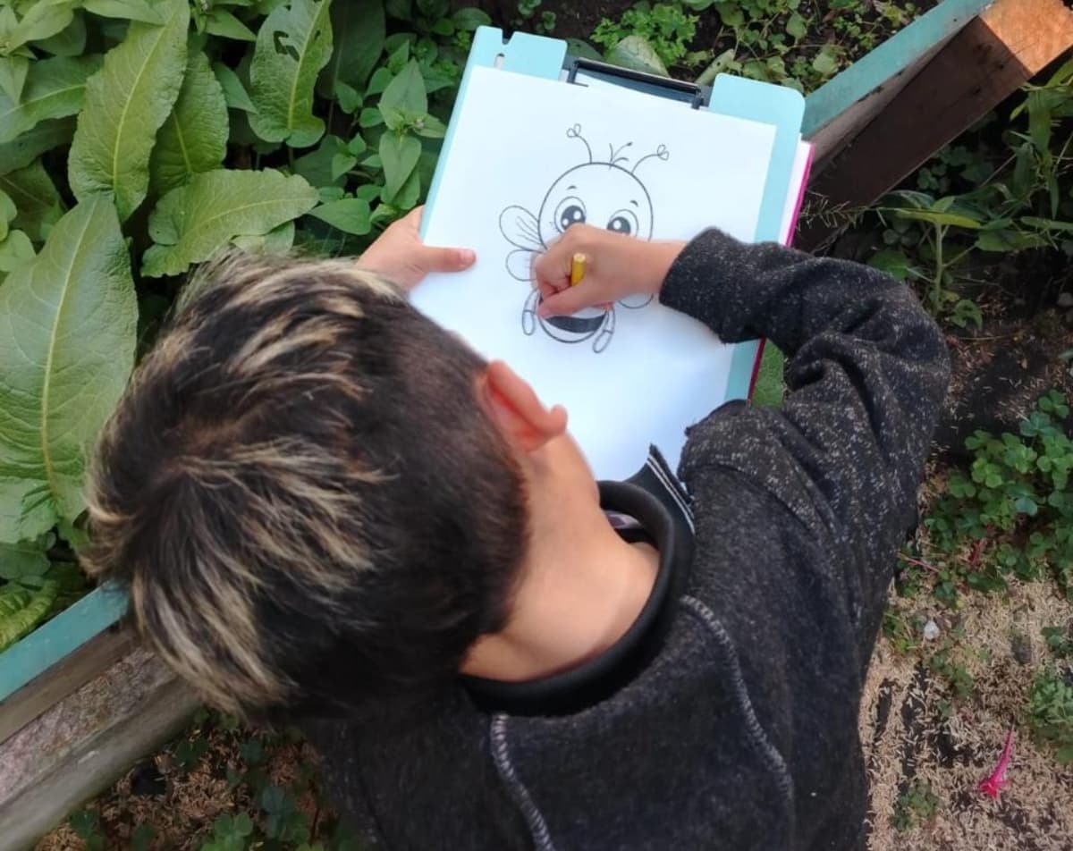 Niño colorea dibujo de abeja