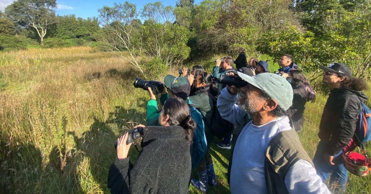 actividad de avistamiento de aves