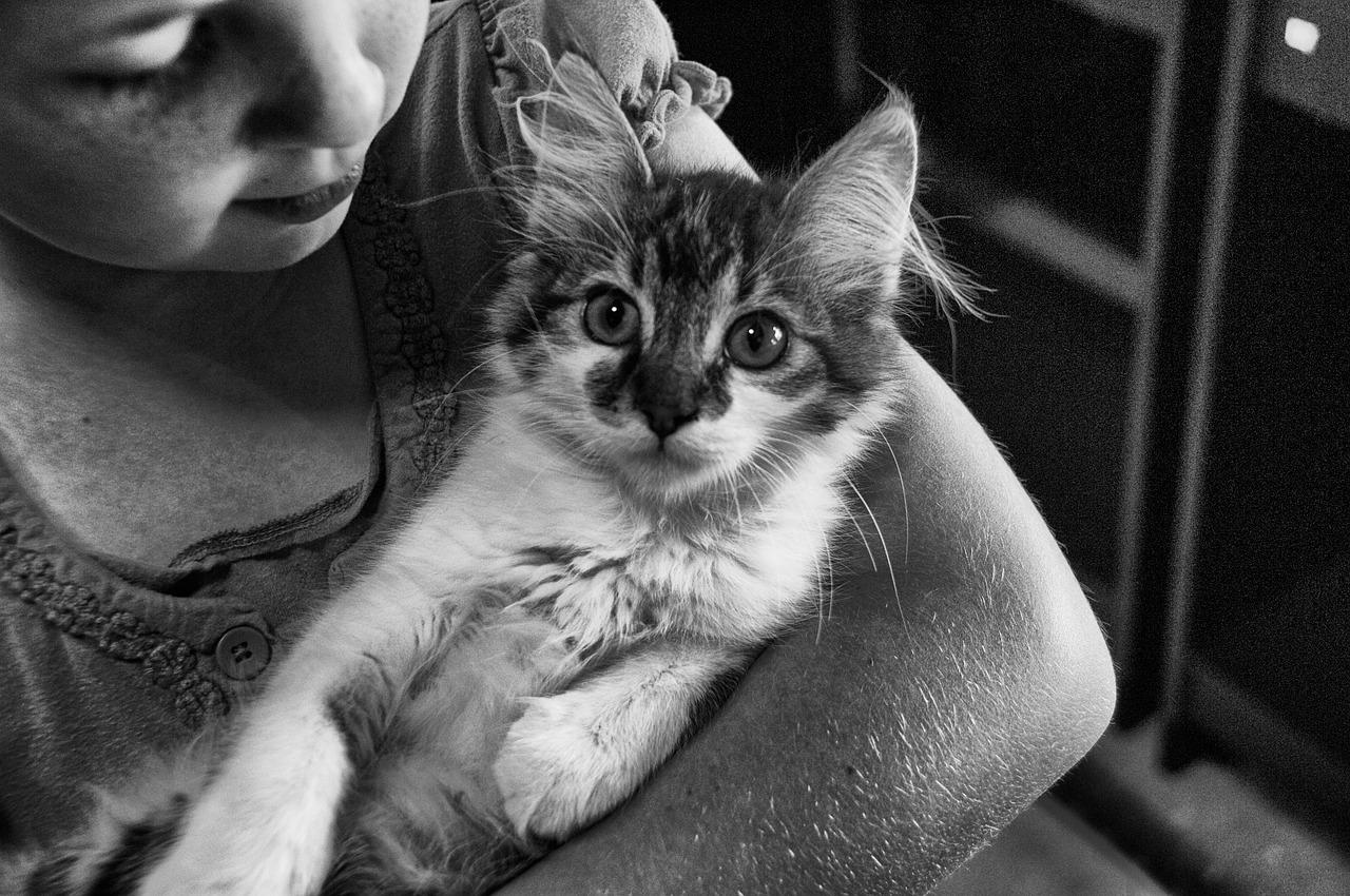 niña con un gato alzado 