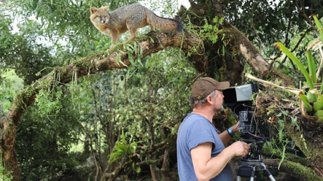 Cine foro vecinos inesperados