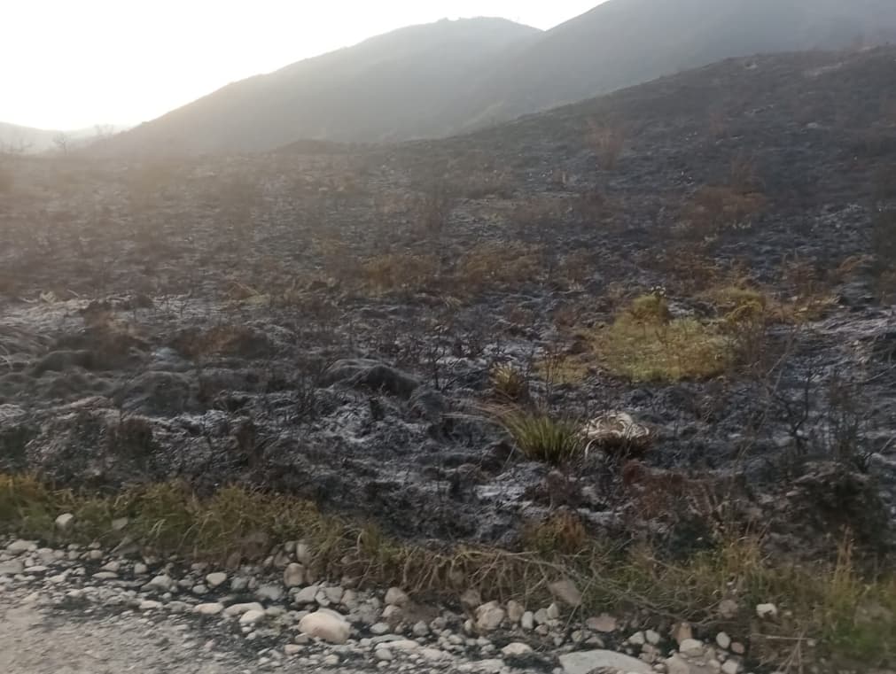 Bogotá trasladó equipos para atender incendio forestal en Chingaza 1