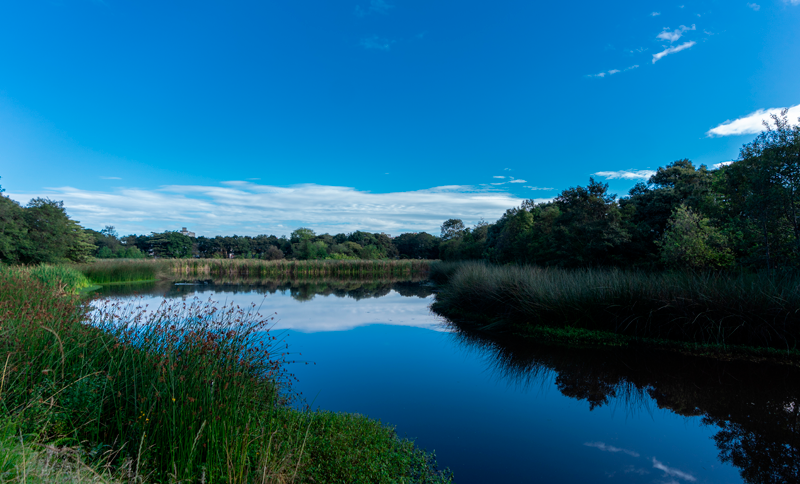 Caminata ecológica por el humedal Santa María del Lago con el IDRD