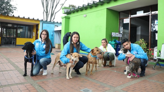 Protección Animal