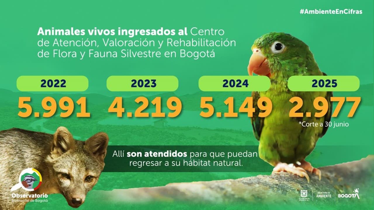 Centro de Atención, Valoración y Rehabilitación fauna Silvestre Bogotá