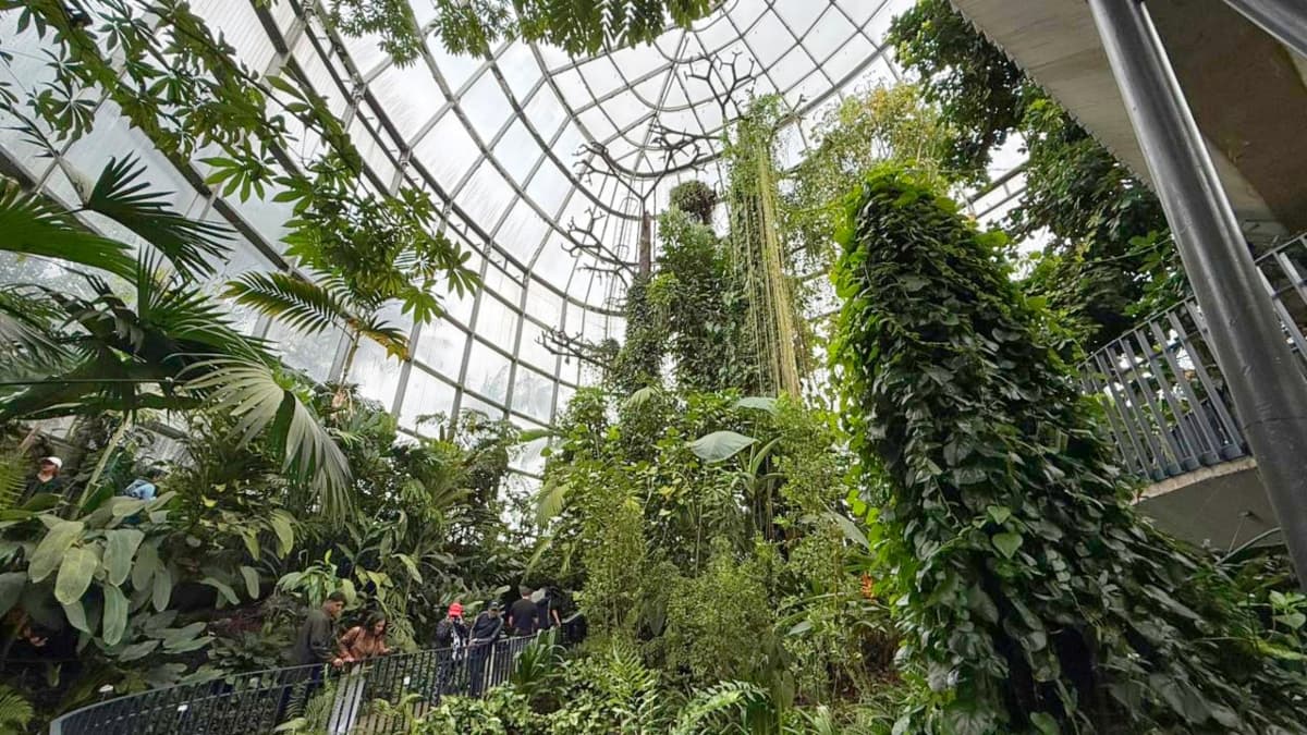 Interior del Tropicario del Jardín Botánico de Bogotá donde se muestran variedad de plantas de los ecosistemas Colombianos