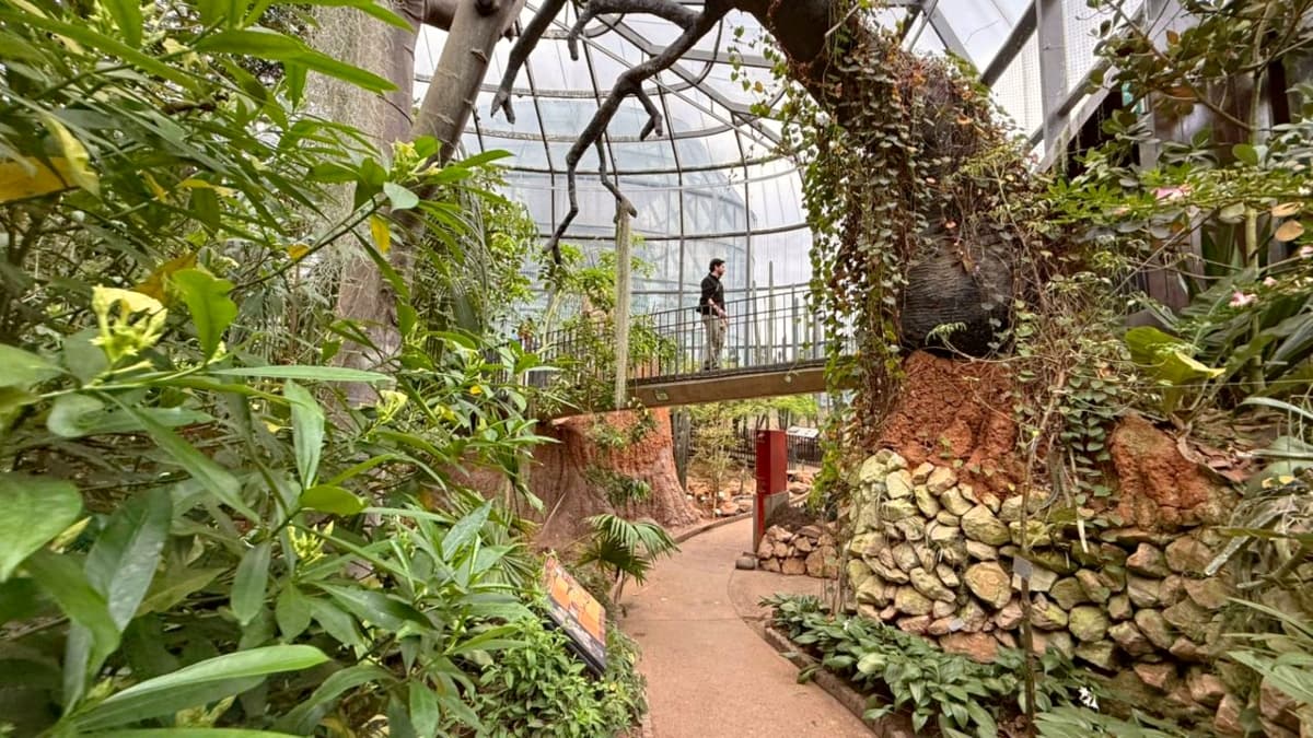 Interior del Tropicario del Jardín Botánico de Bogotá donde se muestran variedad de plantas de los ecosistemas Colombianos