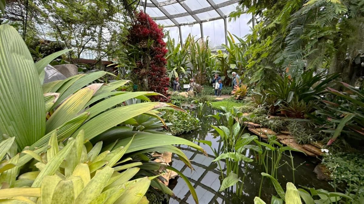 Interior del Tropicario del Jardín Botánico de Bogotá donde se muestran variedad de plantas de los ecosistemas Colombianos
