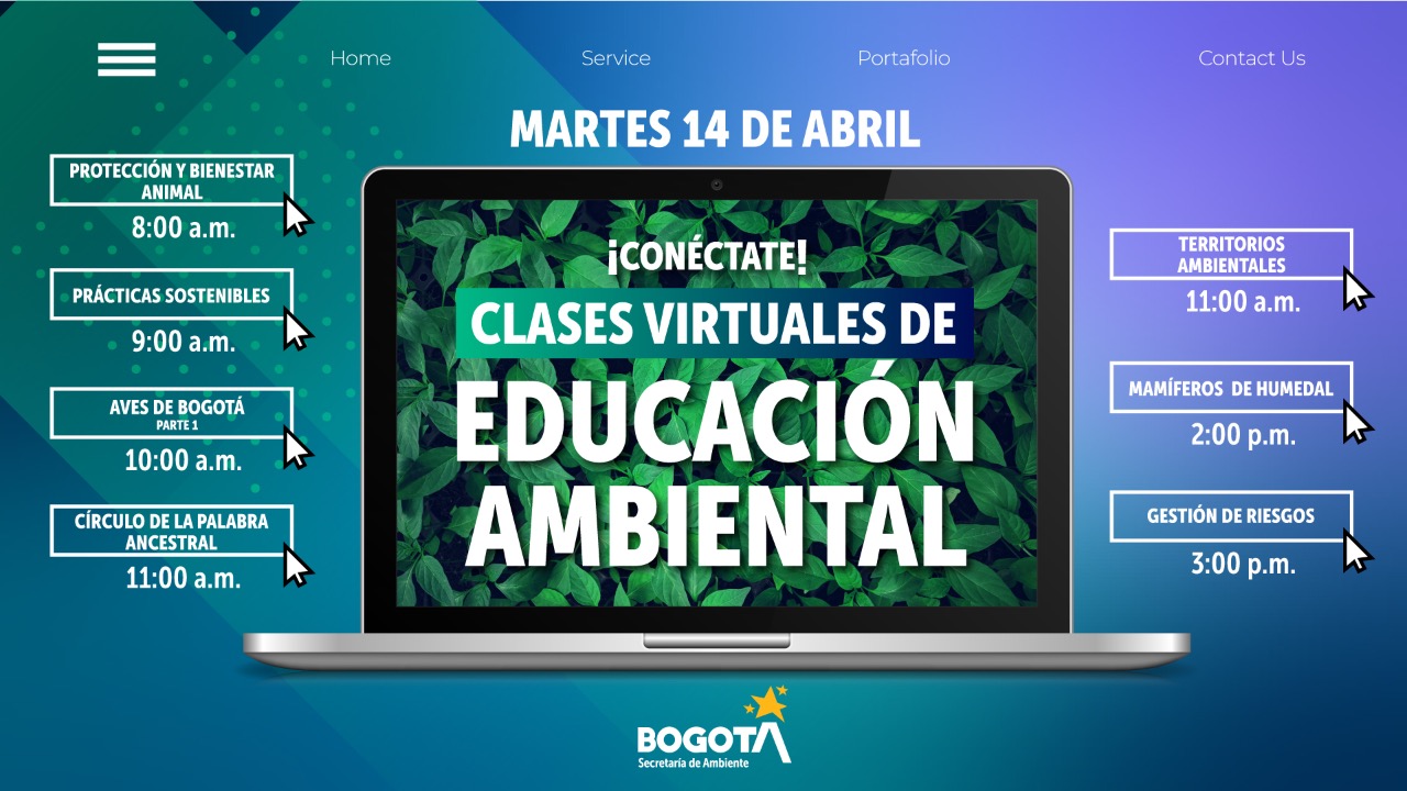 Imagen de las clases virtuales