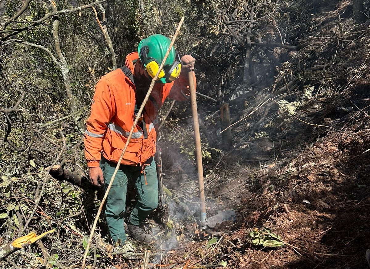 Convocatoria para participar en diplomado en gestión de proyectos bibliotecarios